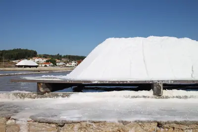 Monte de sal branco à beira dos talhos das Salinas da Fonte da Bica, em Rio Maior